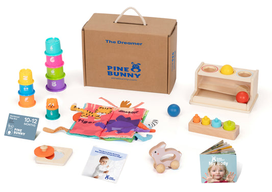 10-12 Months Toy Box